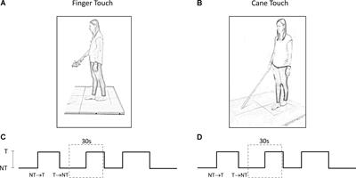 Balance in Blind Subjects: Cane and Fingertip Touch Induce Similar Extent and Promptness of Stance Stabilization